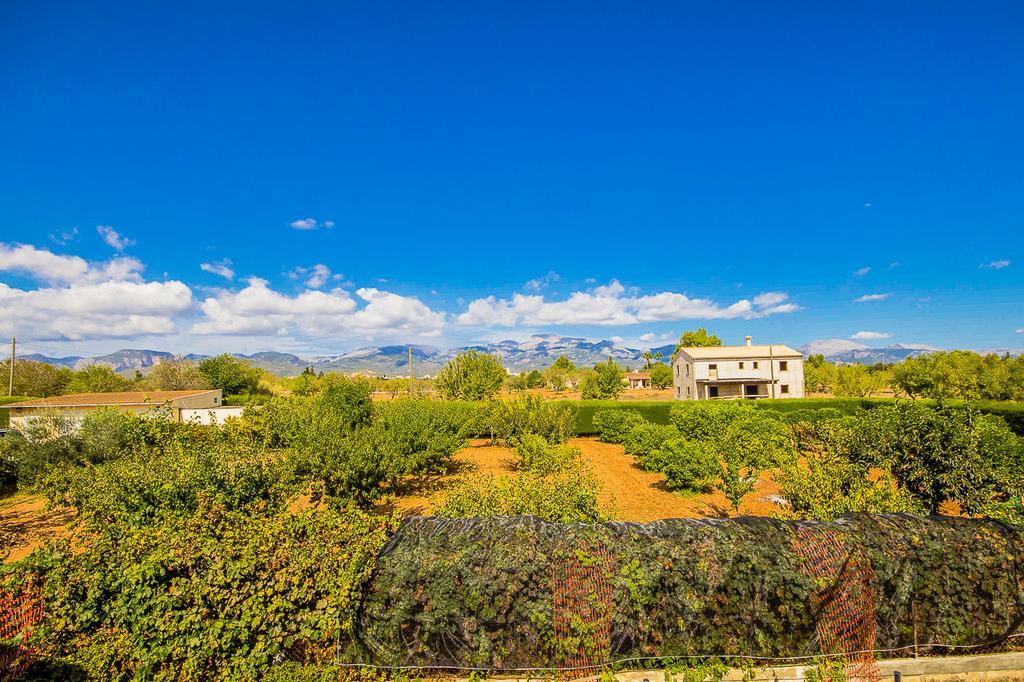 Villa Pascolet Inca (Mallorca)