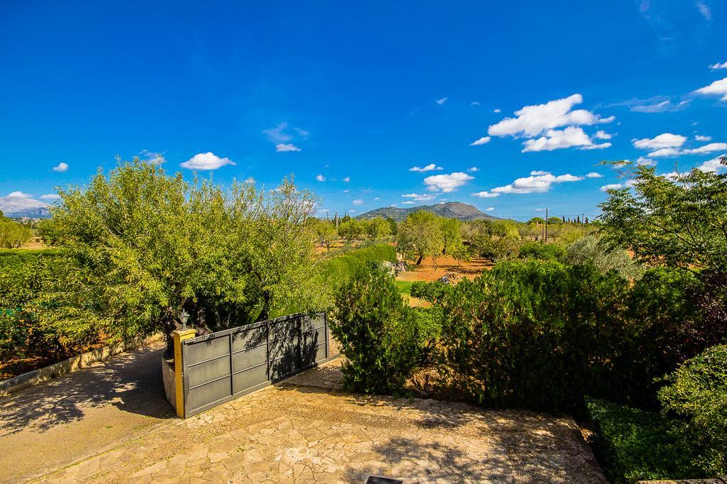 Pascolet Inca (Mallorca)