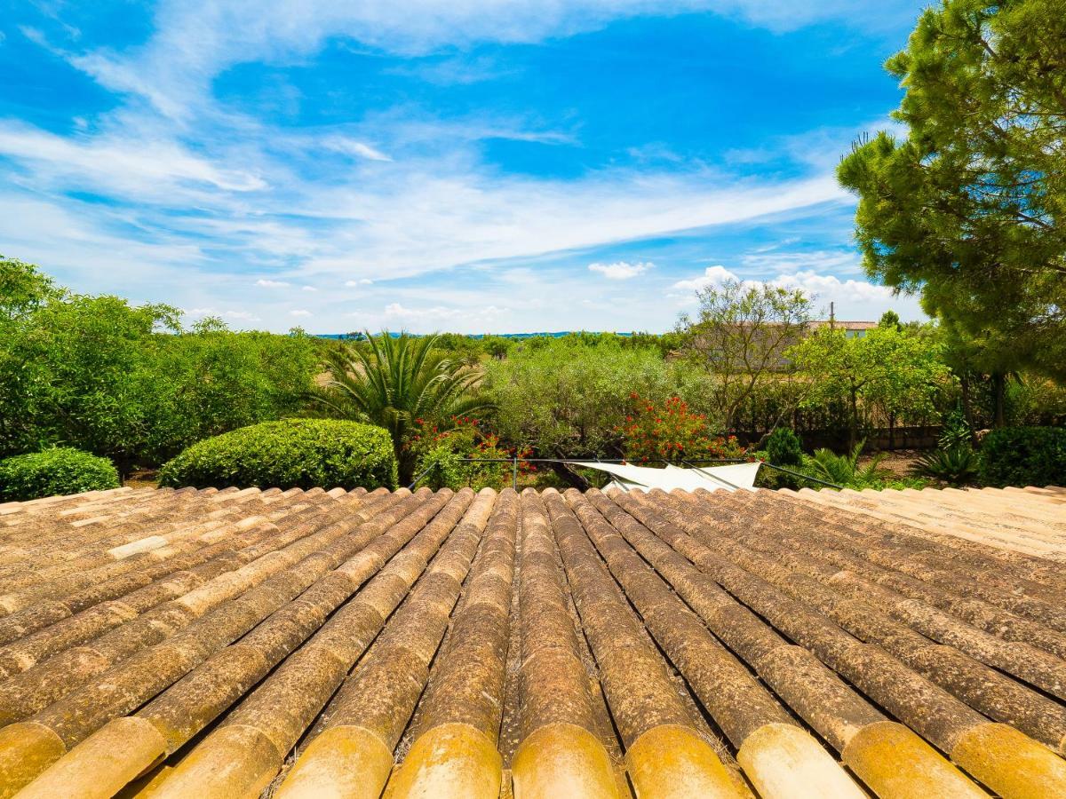 Pascolet * Inca (Mallorca)